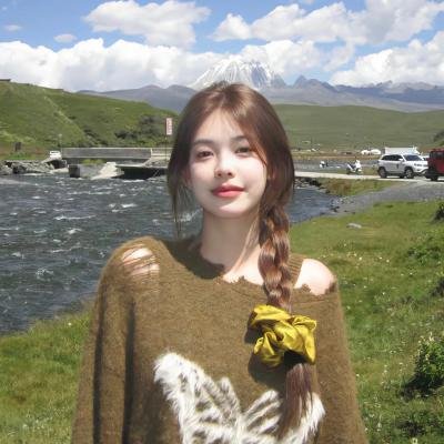 画不投机