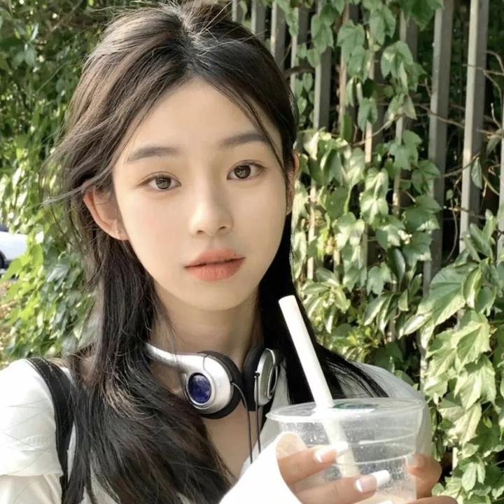 小查与寇弟的顶级冒险